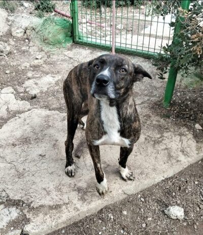 Chiki